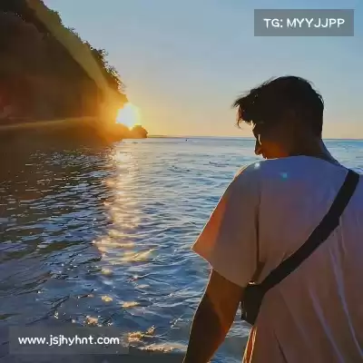 舒舜飚